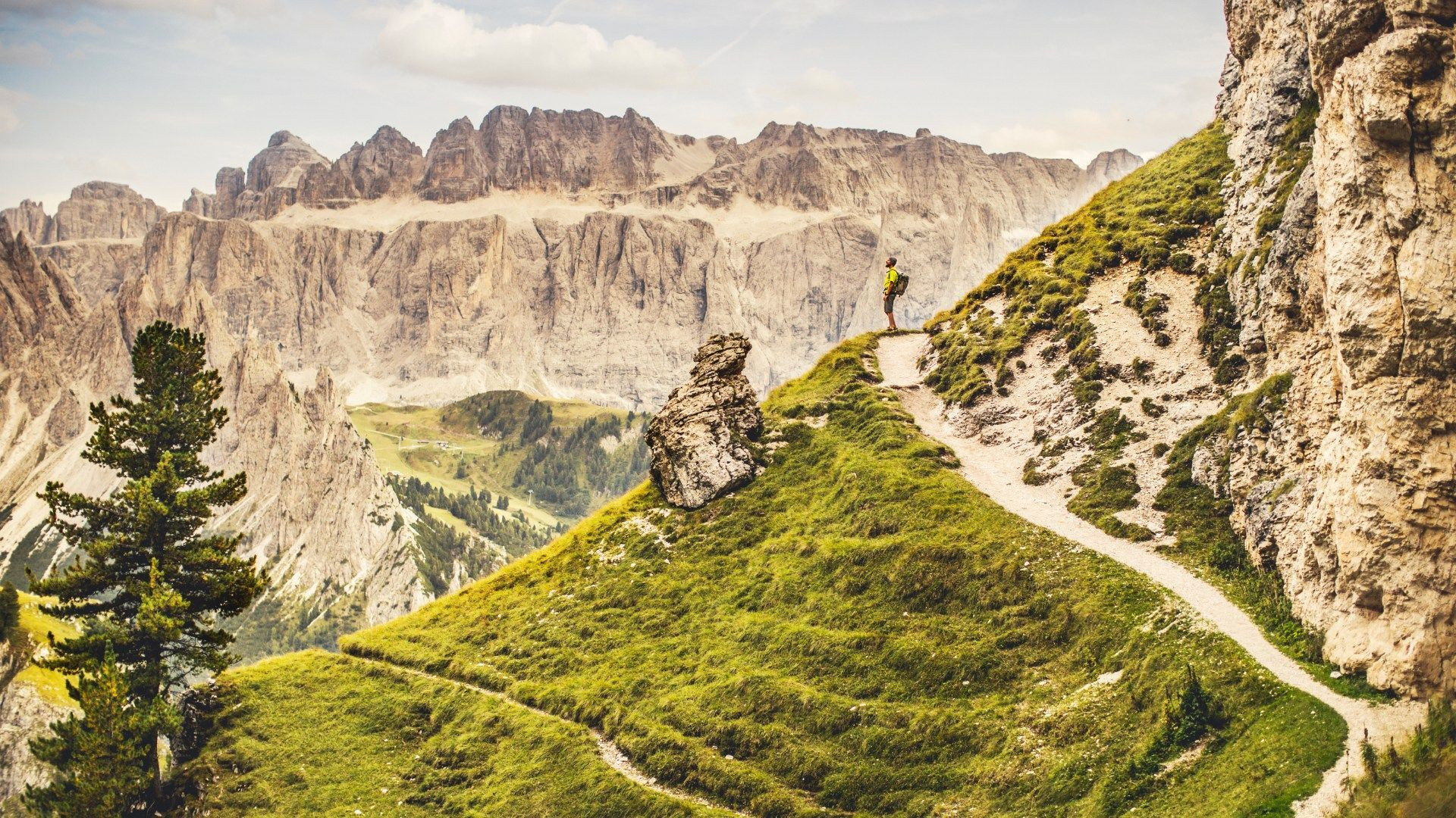 Hiker on a grassy ridge facing the limestone walls - Dolomites - Italy